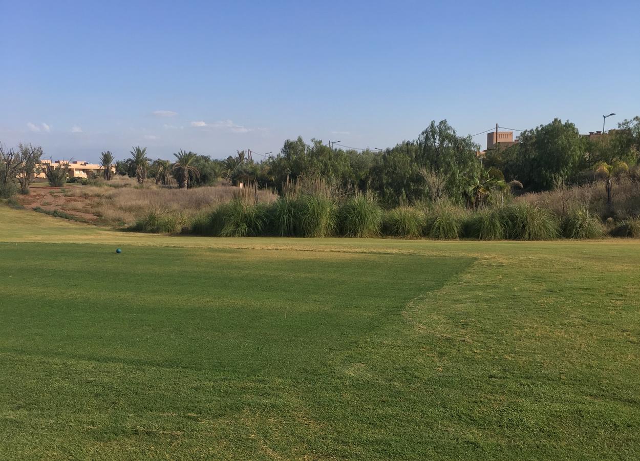 Appartement De Luxe Avec Jardin Prive Marakeş Dış mekan fotoğraf